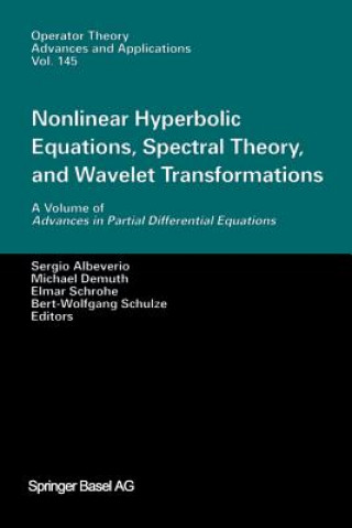Könyv Nonlinear Hyperbolic Equations, Spectral Theory, and Wavelet Transformations Sergio Albeverio
