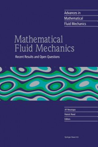 Könyv Mathematical Fluid Mechanics Jiri Neustupa