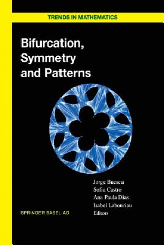 Carte Bifurcation, Symmetry and Patterns Jorge Buescu