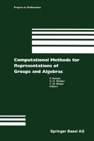 Kniha Computational Methods for Representations of Groups and Algebras P. Dräxler