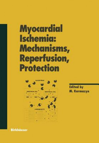 Könyv Myocardial Ischemia: Mechanisms, Reperfusion, Protection Morris Karmazyn