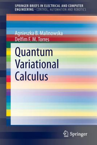 Kniha Quantum Variational Calculus Agnieszka B. Malinowska