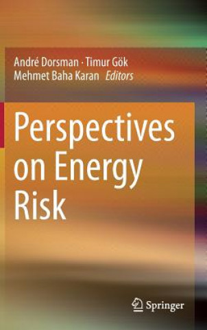 Kniha Perspectives on Energy Risk André Dorsman