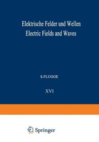 Kniha Elektrische Felder und Wellen / Electric Fields and Waves 