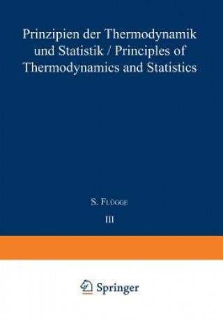 Carte Prinzipien der Thermodynamik und Statistik / Principles of Thermodynamics and Statistics 