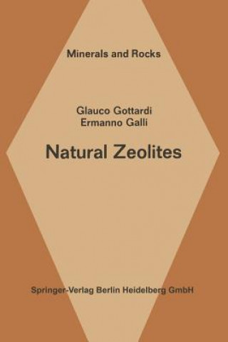 Kniha Natural Zeolites G. Gottardi