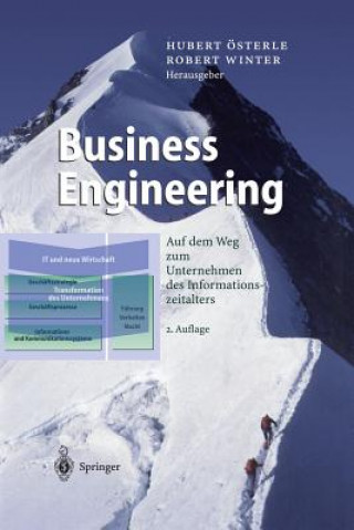 Könyv Business Engineering Hubert Österle