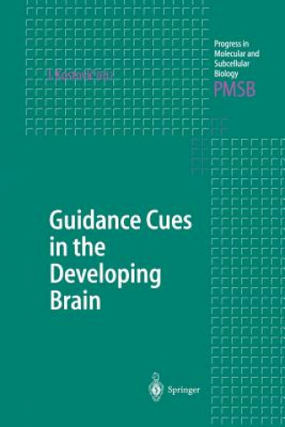 Книга Guidance Cues in the Developing Brain Ivica Kostovic