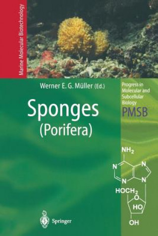 Buch Sponges (Porifera) Werner E. G. Müller