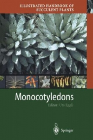 Kniha Illustrated Handbook of Succulent Plants: Monocotyledons Urs Eggli
