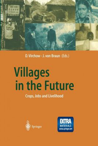 Könyv Villages in the Future Detlef Virchow
