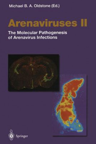 Kniha Arenaviruses II M.B.A. Oldstone