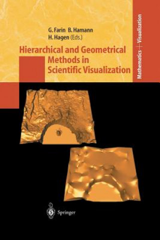 Könyv Hierarchical and Geometrical Methods in Scientific Visualization Gerald Farin