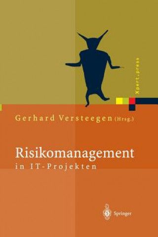 Livre Risikomanagement in It-Projekten Gerhard Versteegen