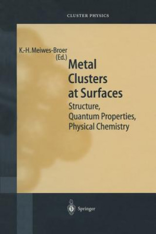 Buch Metal Clusters at Surfaces Karl-Heinz Meiwes-Broer