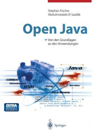 Kniha Open Java Stephan Fischer
