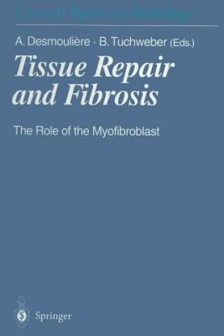 Könyv Tissue Repair and Fibrosis Alexis Desmouliere