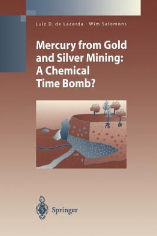 Kniha Mercury from Gold and Silver Mining Luiz D.de Lacerda