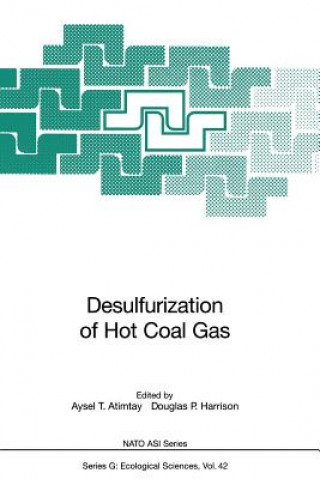 Kniha Desulfurization of Hot Coal Gas Aysel T. Atimtay