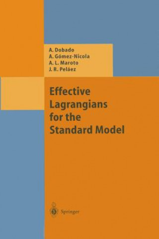 Buch Effective Lagrangians for the Standard Model Antonio Dobado