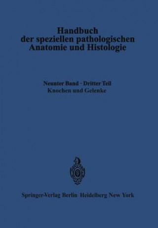 Könyv Knochen Und Gelenke G. Axhausen