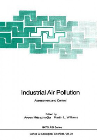 Kniha Industrial Air Pollution Aysen Müezzinoglu