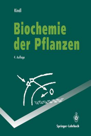 Kniha Biochemie Der Pflanzen Helmut Kindl