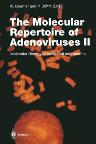 Książka Molecular Repertoire of Adenoviruses II Walter Doerfler
