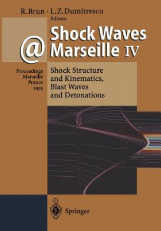 Kniha Shock Waves @ Marseille IV Raymond Brun