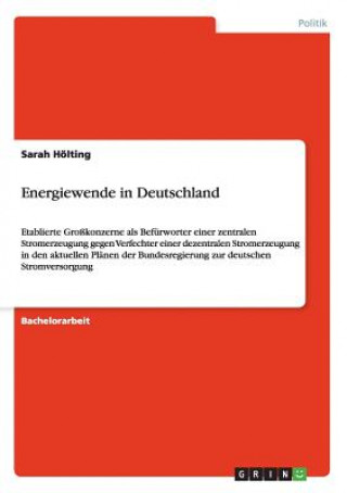 Buch Energiewende in Deutschland Sarah Hölting