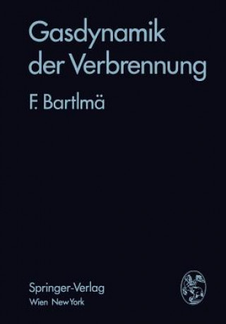 Kniha Gasdynamik Der Verbrennung Fritz Bartlmä