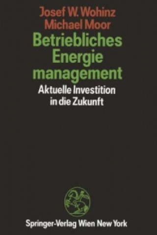 Libro Betriebliches Energiemanagement Josef W. Wohinz