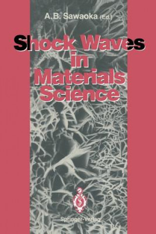 Könyv Shock Waves in Materials Science Akira B. Sawaoka