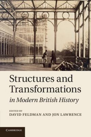 Könyv Structures and Transformations in Modern British History David Feldman