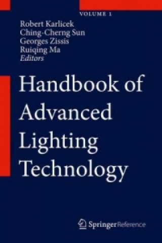 Libro Handbook of Advanced Lighting Technology Robert Karlicek