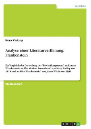 Könyv Analyse einer Literaturverfilmung Nora Klutzny