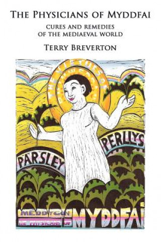 Kniha Physicians of Myddfai Terry Breverton