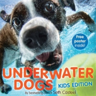 Kniha Underwater Dogs (Kids Edition) Seth Casteel