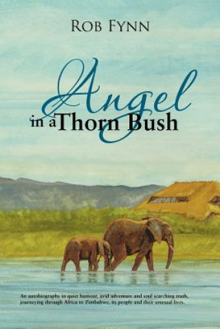 Carte Angel in a Thorn Bush Rob Fynn