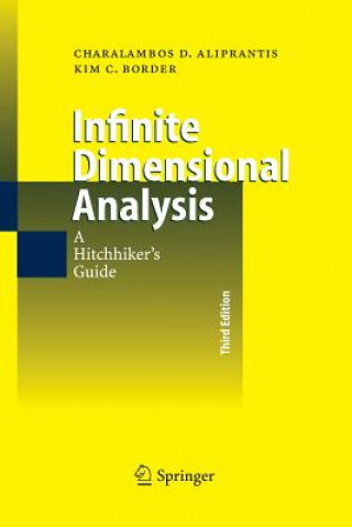 Buch Infinite Dimensional Analysis Charalambos D Aliprantis