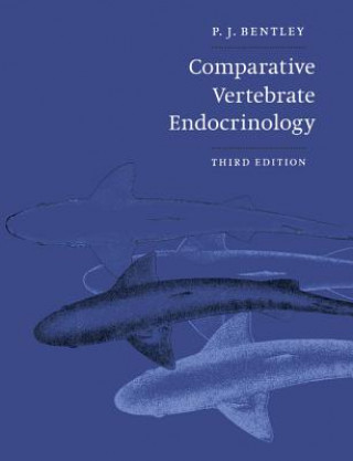 Kniha Comparative Vertebrate Endocrinology Peter J. Bentley