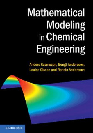 Buch Mathematical Modeling in Chemical Engineering Anders Rasmuson