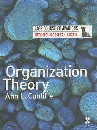 Książka Organization Theory Ann L Cunliffe