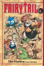 Könyv Fairy Tail 1 Hiro Mashima