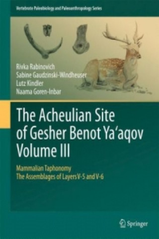 Könyv Acheulian Site of Gesher Benot  Ya'aqov  Volume III Rivka Rabinovich