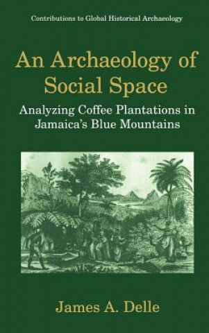 Kniha Archaeology of Social Space James A. Delle