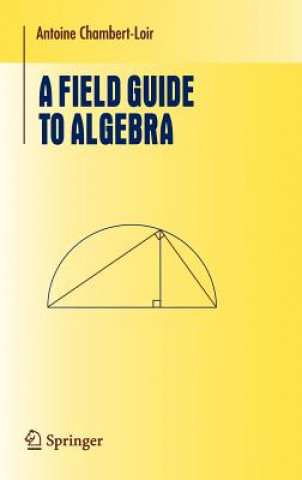 Kniha Field Guide to Algebra A. Chambert-Noir