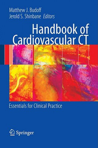 Carte Handbook of Cardiovascular CT Matthew M. J. Budoff
