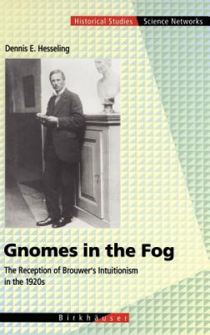 Kniha Gnomes in the Fog Dennis E. Hesseling