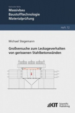 Könyv Grossversuche zum Leckageverhalten von gerissenen Stahlbetonwanden Michael Stegemann